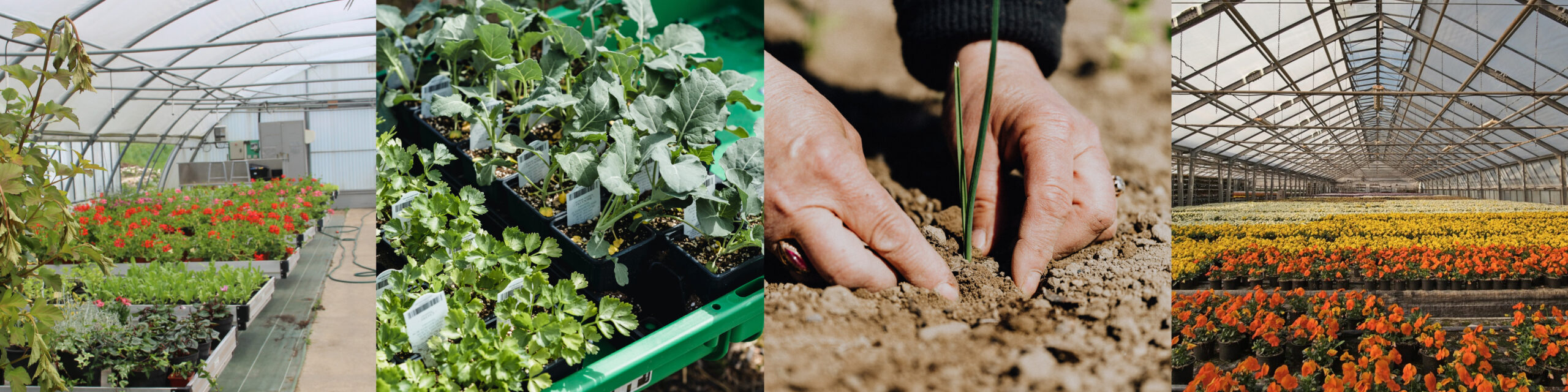 CAPA MA Productions Horticoles CFPPA de l Allier